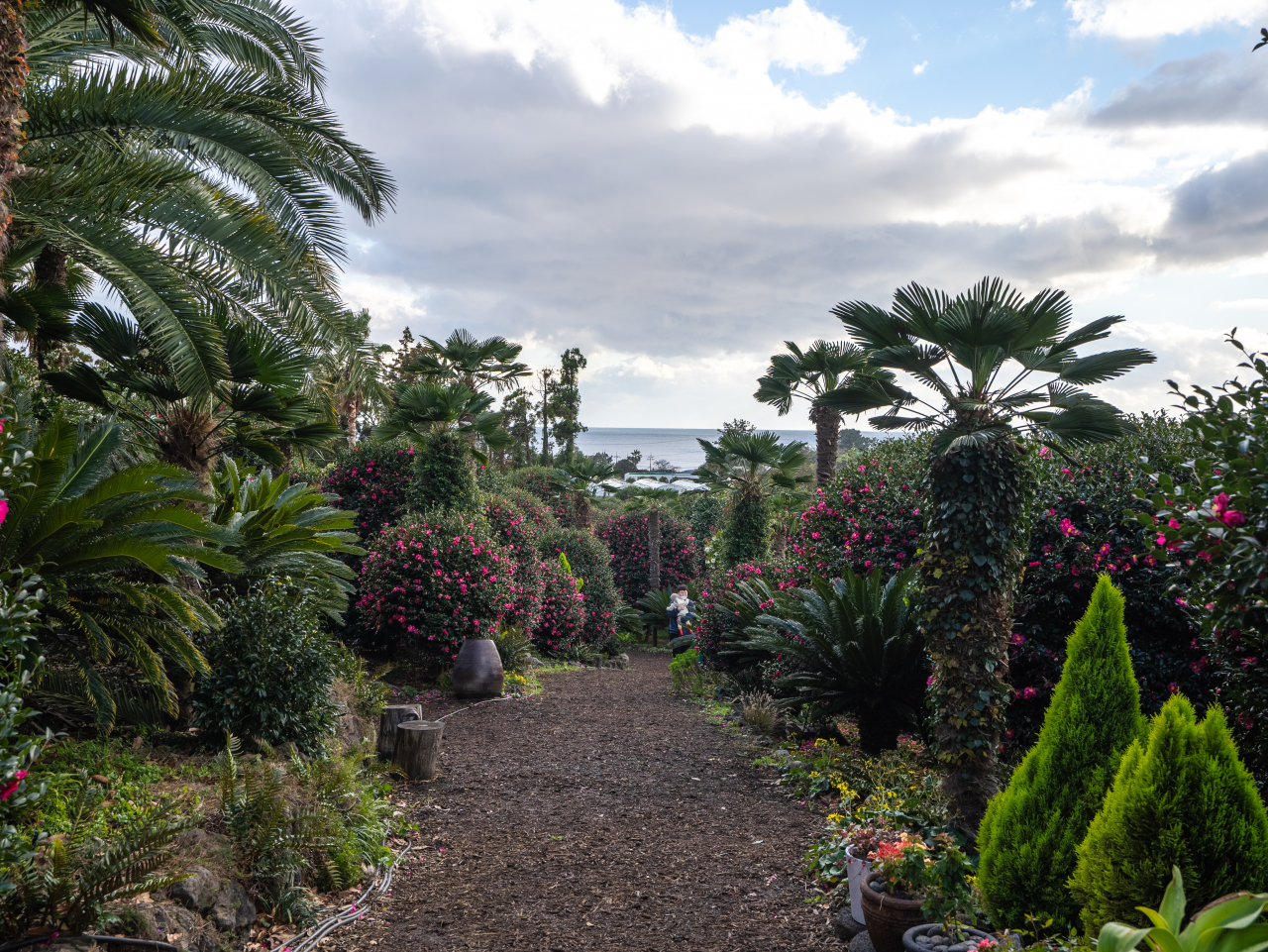 동백수목원 전경