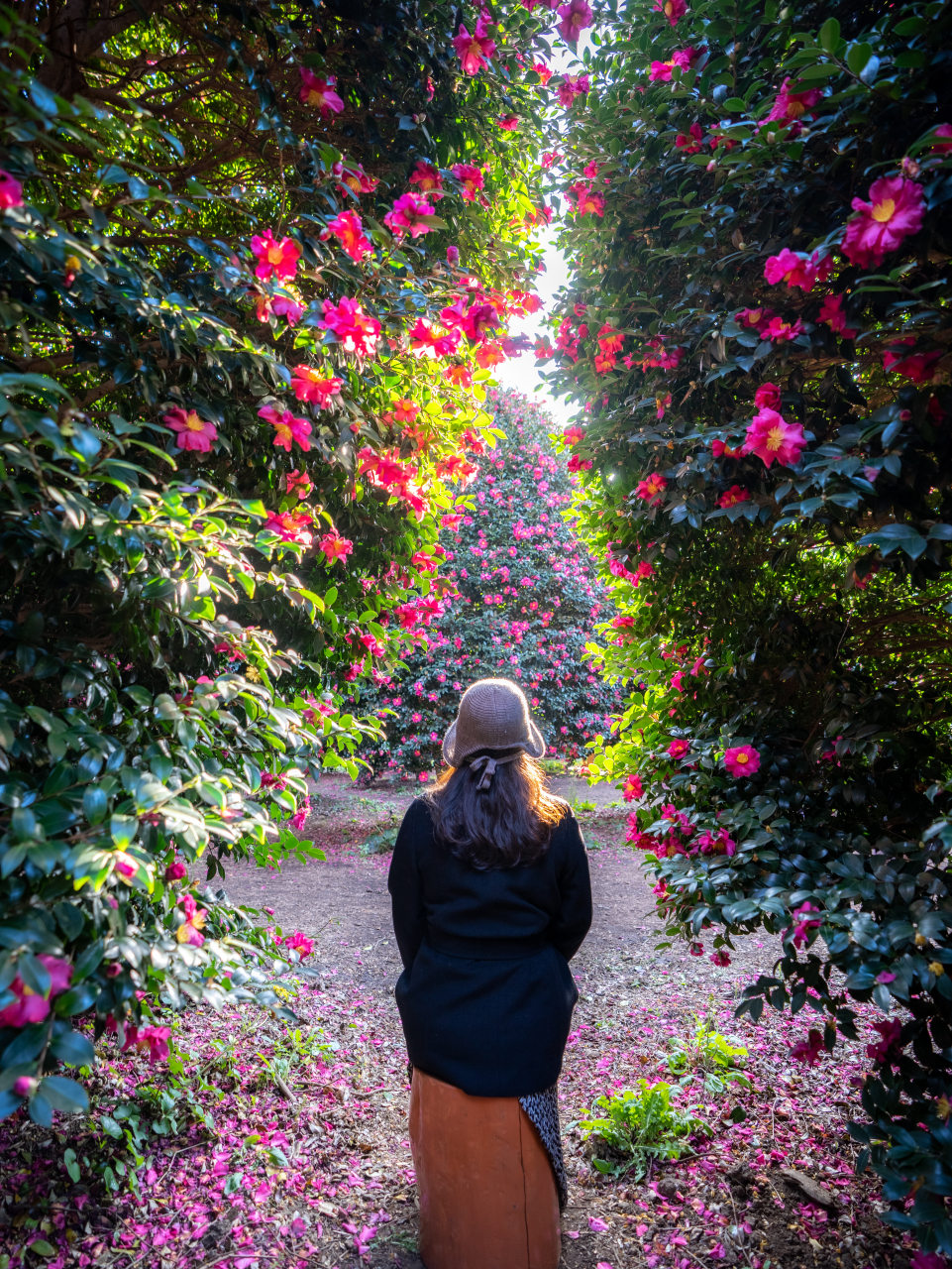 동백수목원 스냅사진