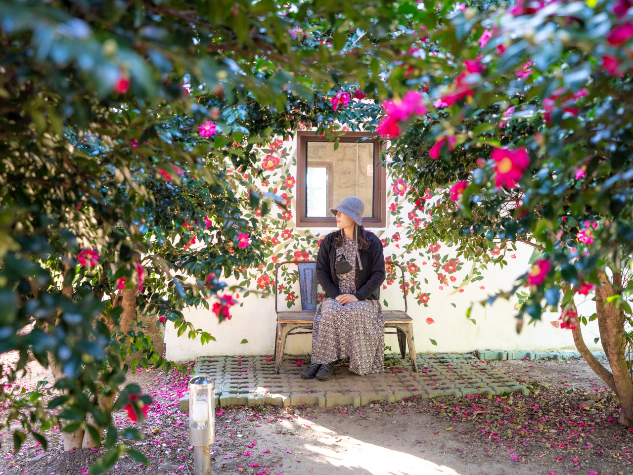 제주 동박낭 카페 포토존