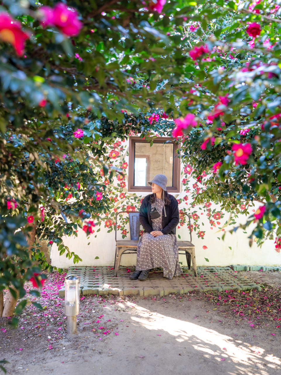제주 동박낭 카페