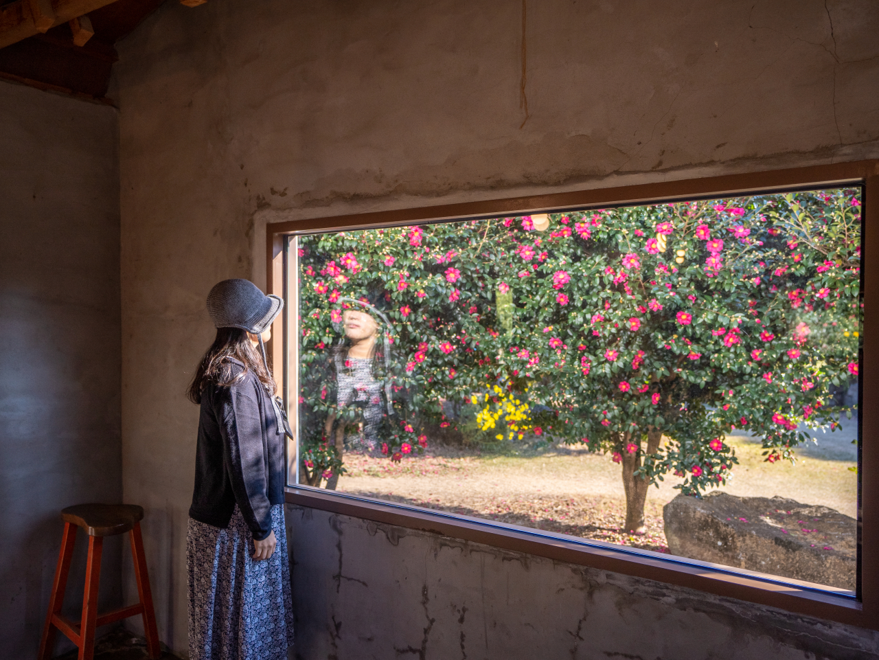 제주 동박낭 카페