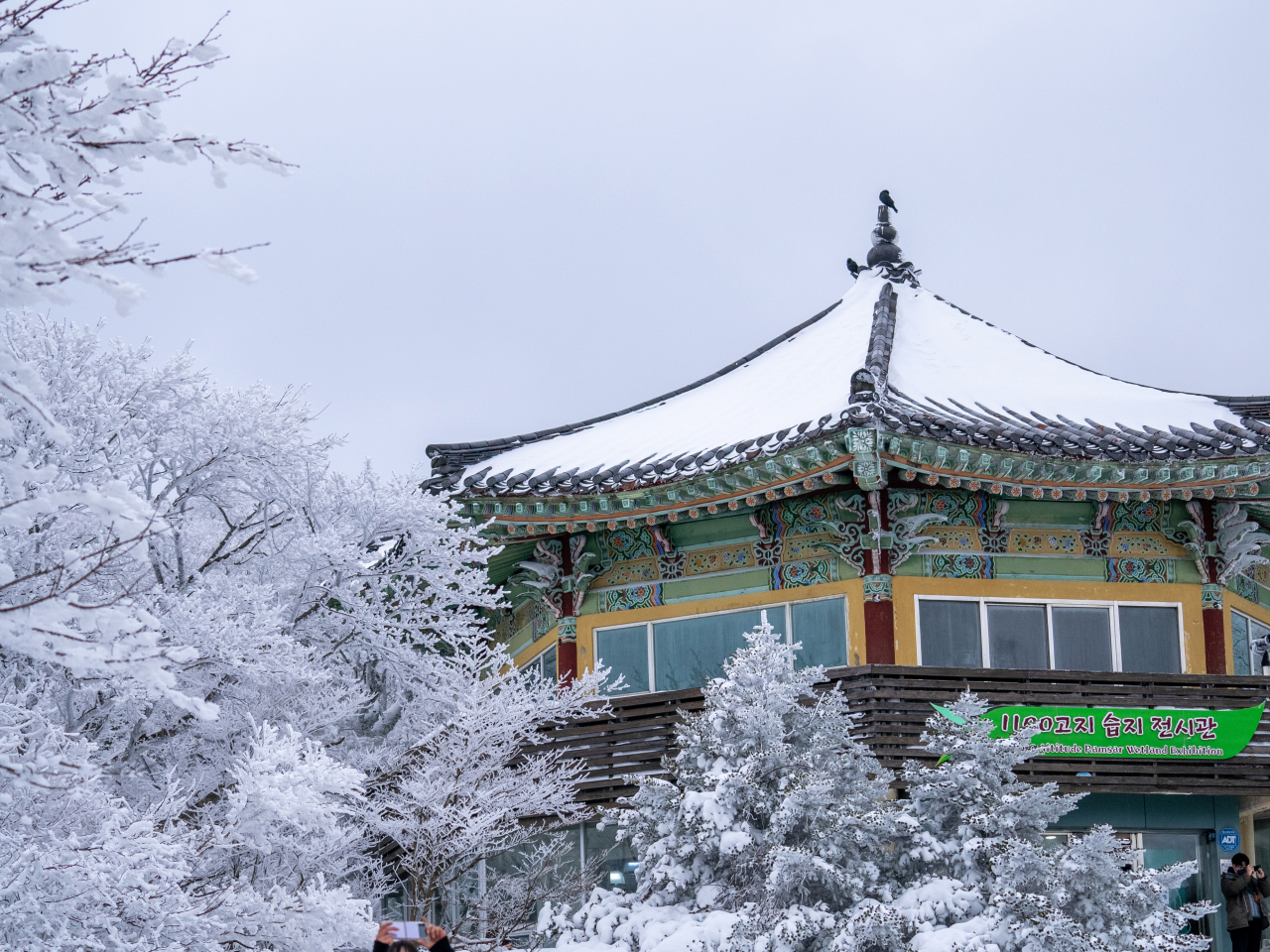 한라산 1100고지 팔각정 휴게소