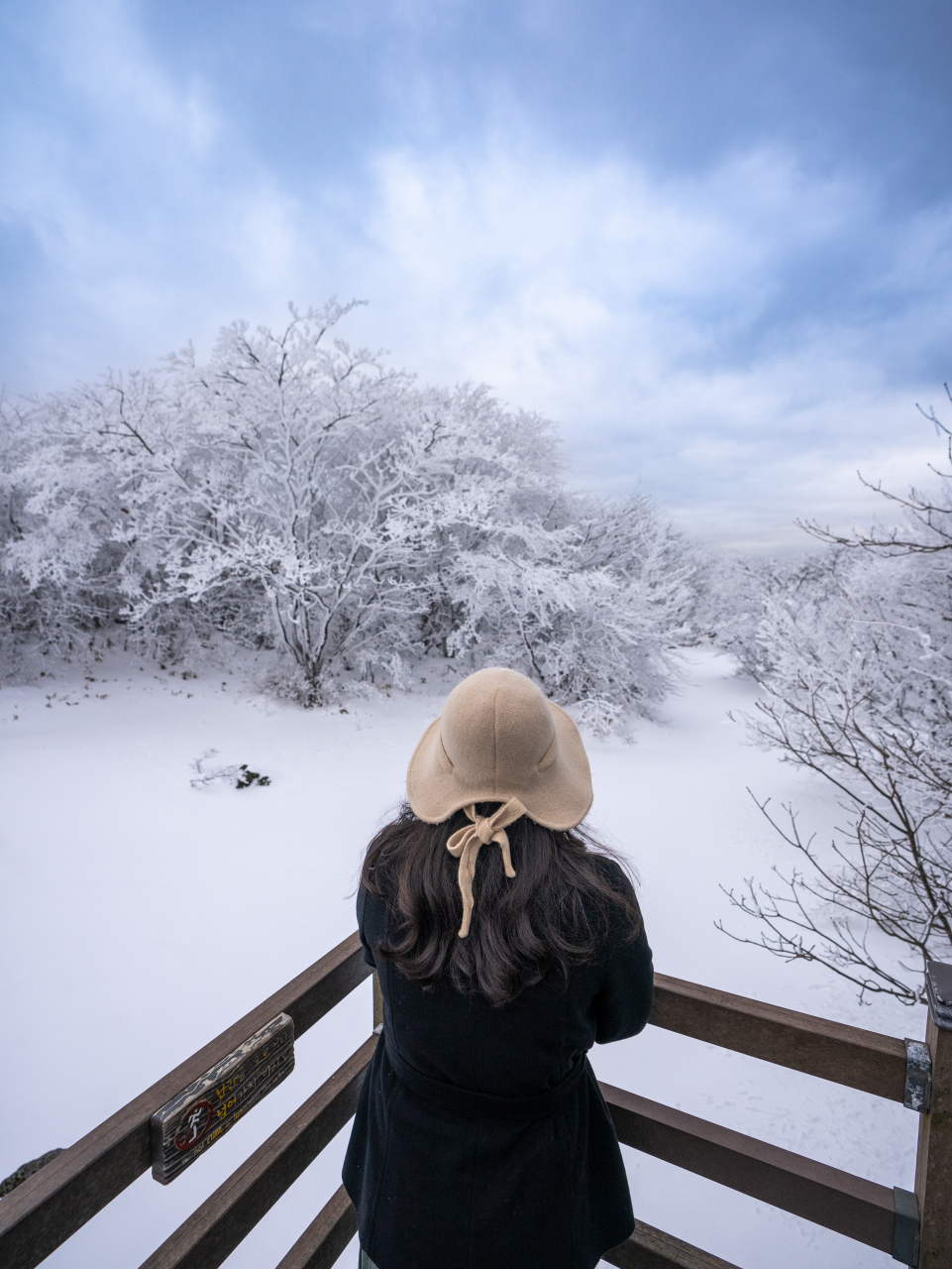 한라산 1100고지 습지