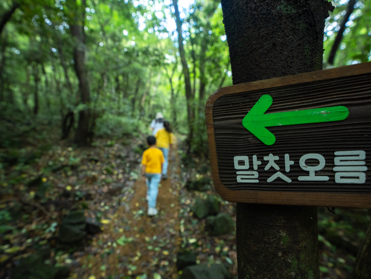 말찻오름 가는 길
