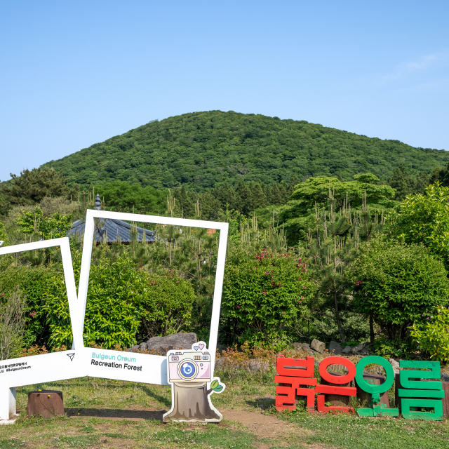 붉은오름자연휴양림