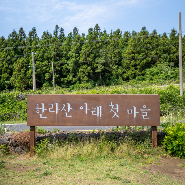 한라산아래첫마을 제주메밀식당