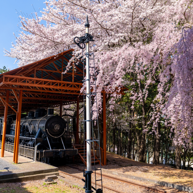 삼무공원