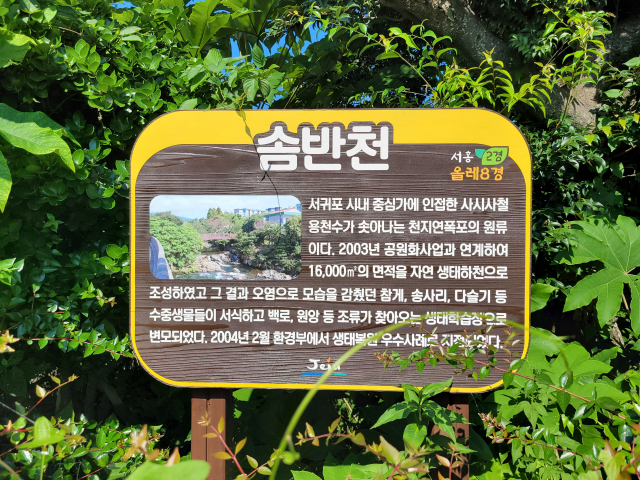 솜반천