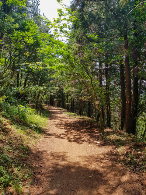 저지오름
