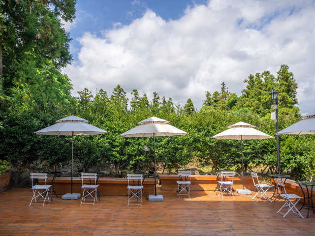 호텔리어스커피