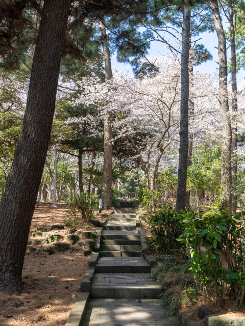 삼무공원