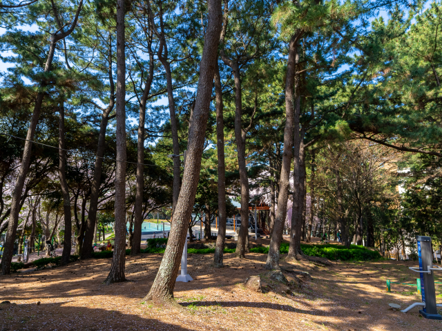 삼무공원