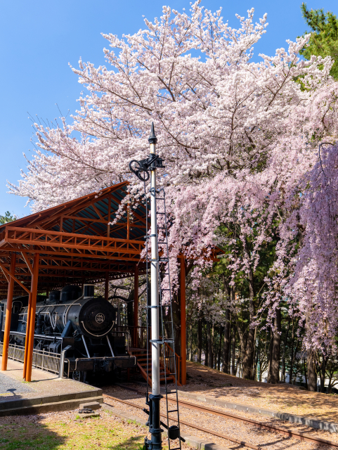 삼무공원