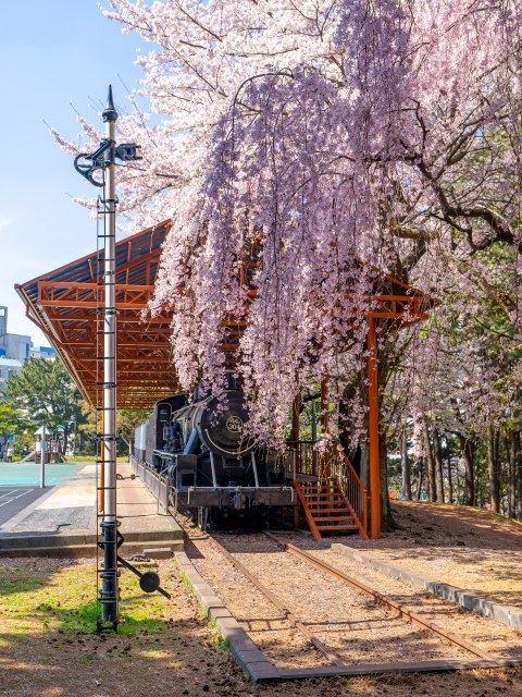삼무공원