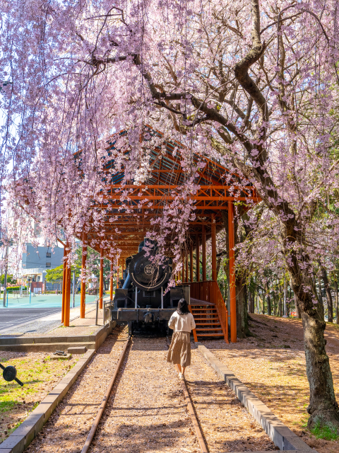 삼무공원