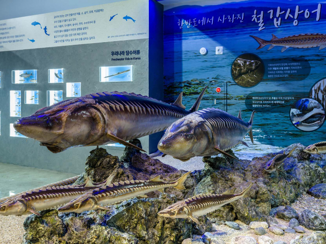 제주해양동물박물관