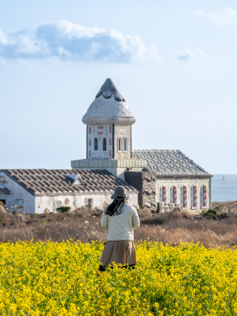 섭지코지