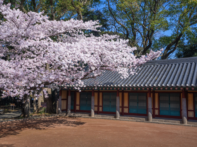 삼성혈