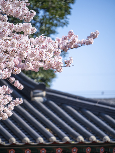 삼성혈