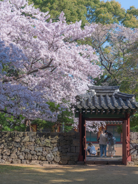 삼성혈