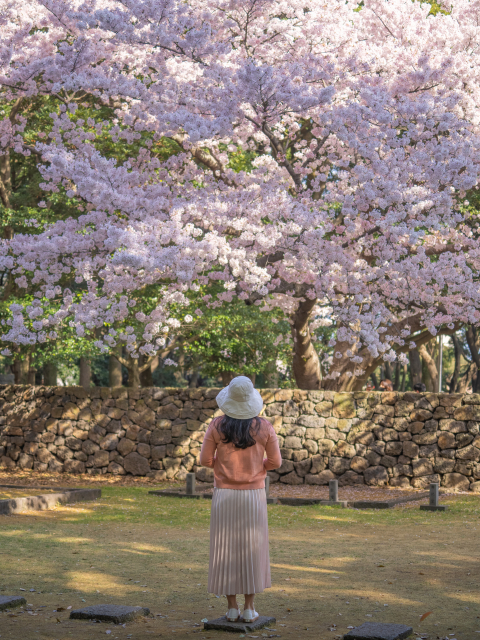 삼성혈