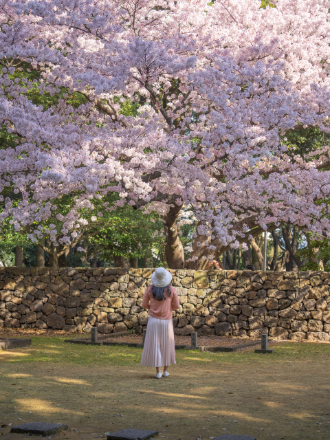 삼성혈