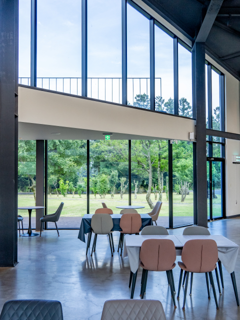 포레스텔라 인 제주