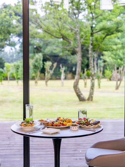 포레스텔라 인 제주