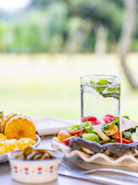 포레스텔라 인 제주