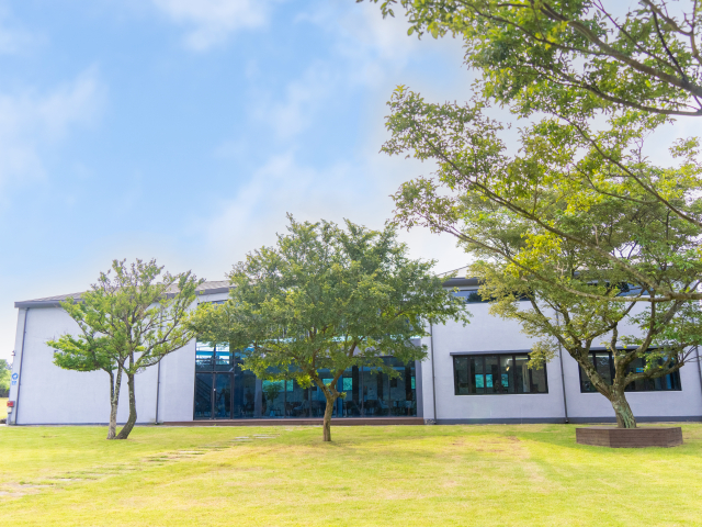 포레스텔라 인 제주