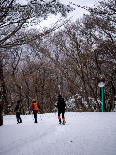 한라산 영실탐방로