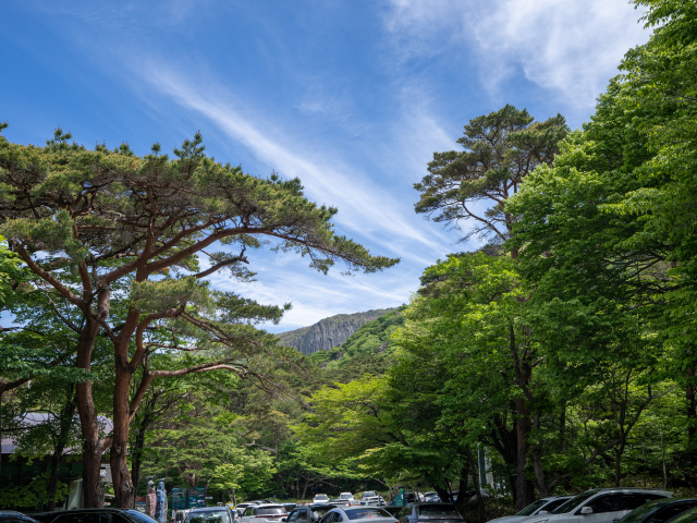 한라산 영실탐방로