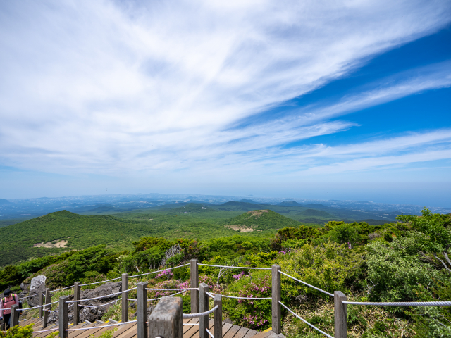 한라산 영실탐방로