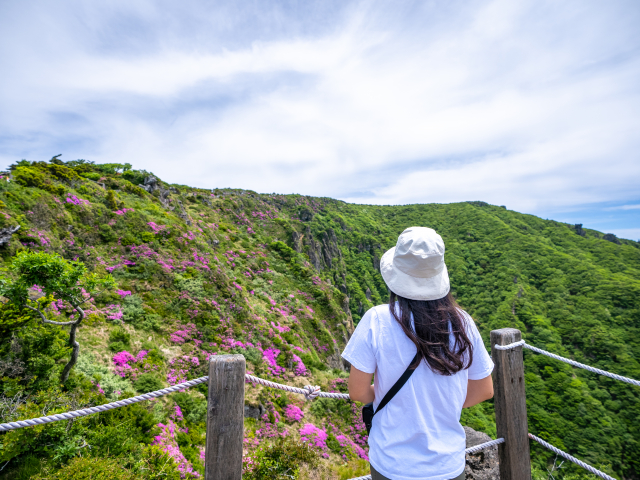 한라산 영실탐방로