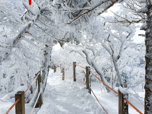 한라산 영실탐방로