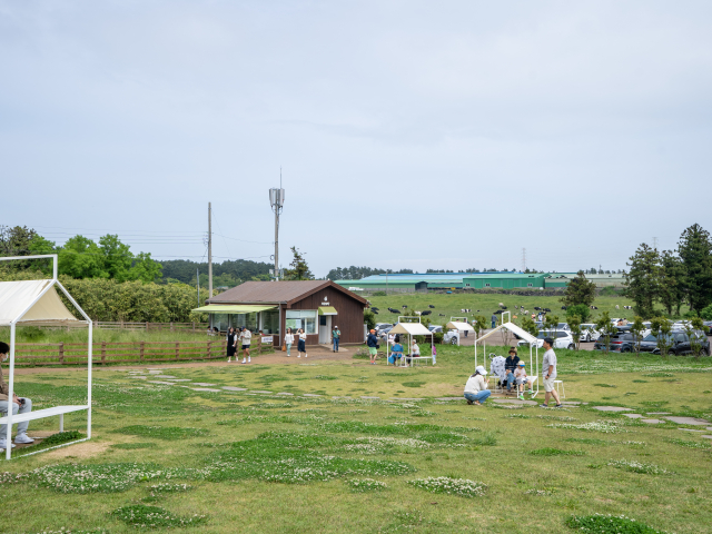 성이시돌목장 우유부단
