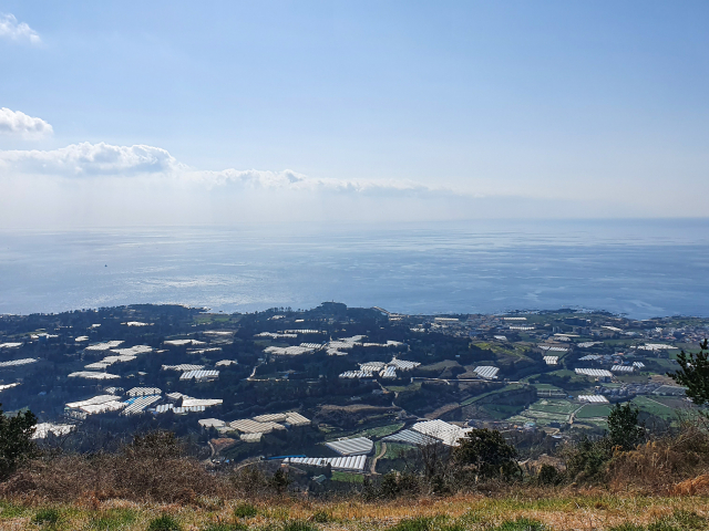 군산오름