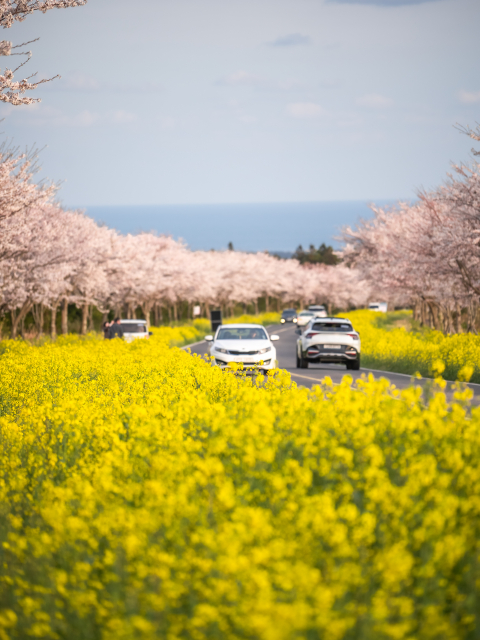 녹산로