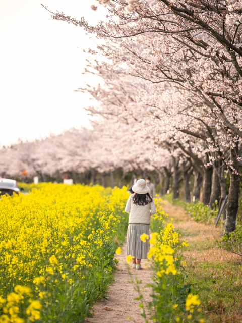 녹산로