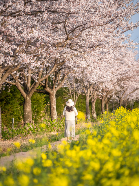 녹산로