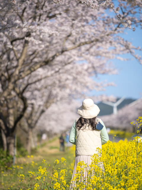 녹산로