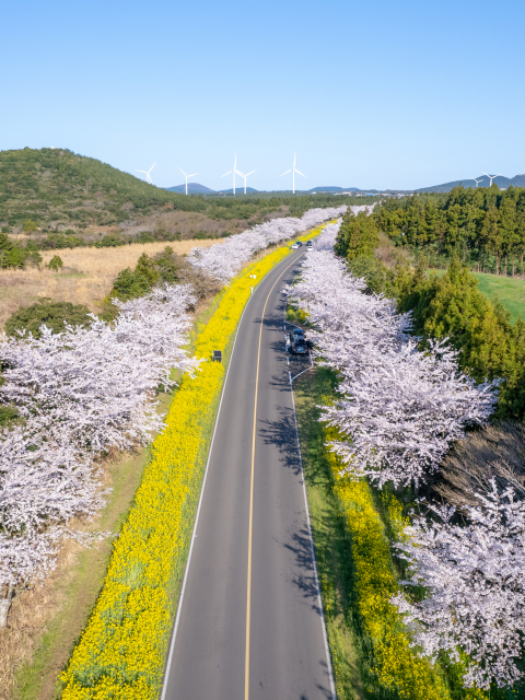 녹산로