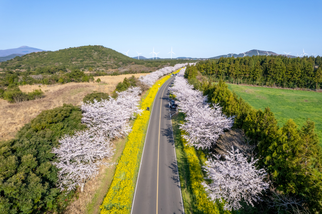 녹산로