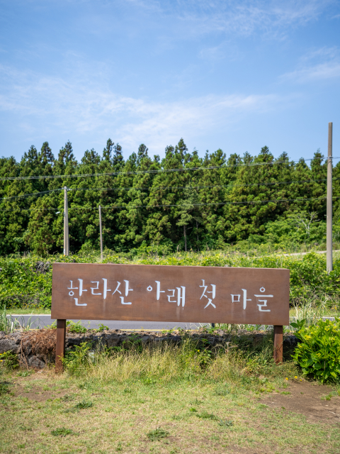 한라산아래첫마을 제주메밀식당