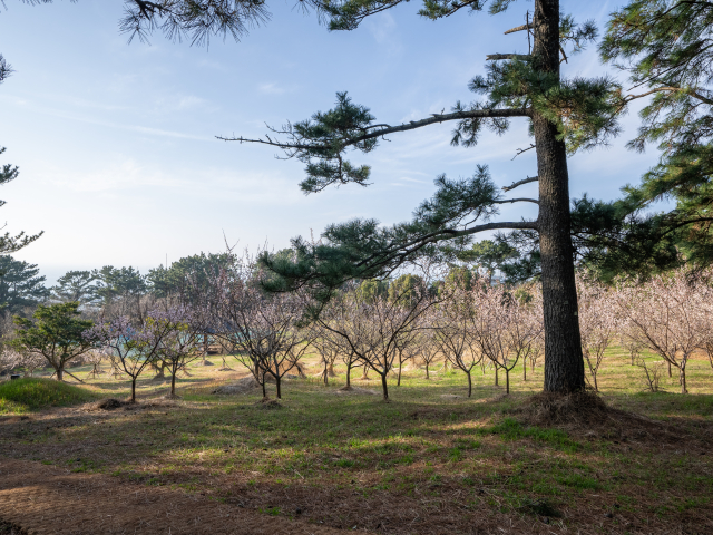 수산봉