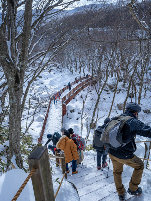 한라산 어리목탐방로