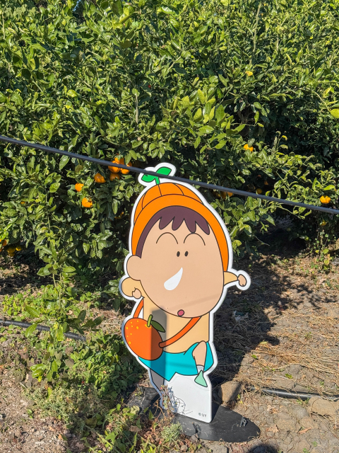 르벙쓸레브