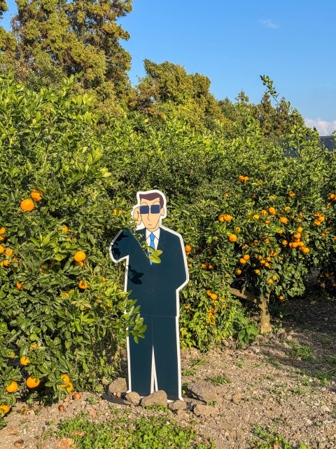 르벙쓸레브