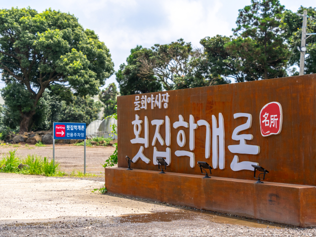횟집학개론