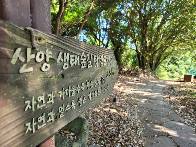 산양큰엉곶